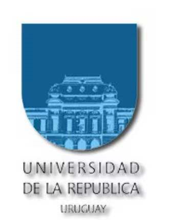 UNIVERSIDAD DE LA REPUBLICA URUGUAY