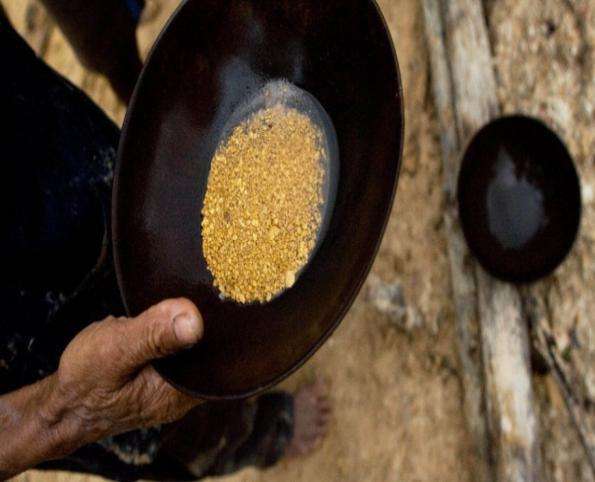 Brazil Gold Ore Exploration Case